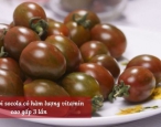 Cà chua bi socola – nguồn dinh dưỡng thiết yếu từ nông trại Lanbian VF