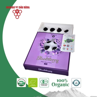 Trái dâu Phúc Bồn Tử đen - BLACKBERRY