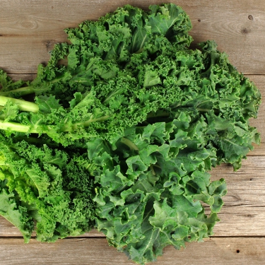 Cải Kale xoăn xanh