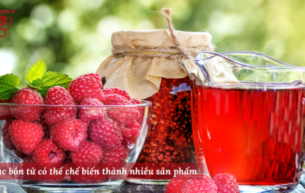 Giải nhiệt ngày hè với nước cốt phúc bồn tử của Lanbian VF Dâu Rừng