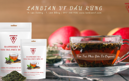 Tim trà phúc bồn tử Organic và những lợi ích không thể ngờ tới - Lanbian Vf Dâu Rừng