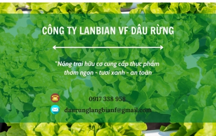 Đổi mới khẩu vị với xà lách Oakleaf xanh tại Lanbian VF Dâu Rừng