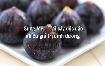 Loại trái cây đang gây sốt thị trường - sung Mỹ có gì đặc biệt?