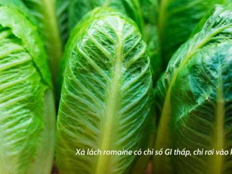 Bạn nên bổ sung xà lách romaine vào khẩu phần ăn vì 9 lý do sau - Lanbian VF Dâu Rừng