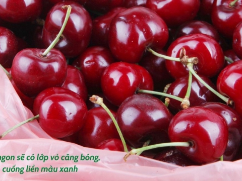 Cùng Lanbian VF Dâu Rừng khám phá 9 công dụng “thần kỳ” của cherry Mỹ