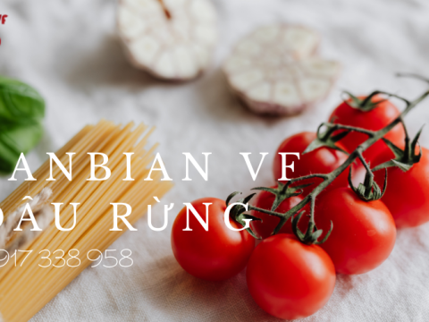 Cà chua bi từ nông sản sạch cho món ăn thêm phần độc đáo - Shop Lanbian Vf Dâu Rừng