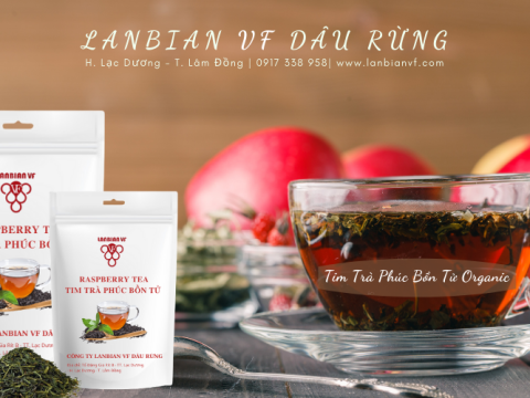 Tim trà phúc bồn tử Organic và những lợi ích không thể ngờ tới - Lanbian Vf Dâu Rừng