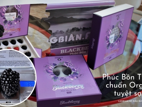 Phúc Bồn Tử đen "chúa tể" thống trị trong giới hoa quả - Trái cây tươi Organic VF Dâu Rừng
