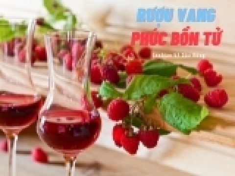 Rượu vang phúc bồn tử đỏ - Tinh túy giọt rượu chuẩn công nghệ ORGANIC Hữu Cơ 100%