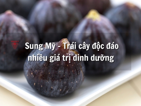 Loại trái cây đang gây sốt thị trường - sung Mỹ có gì đặc biệt?